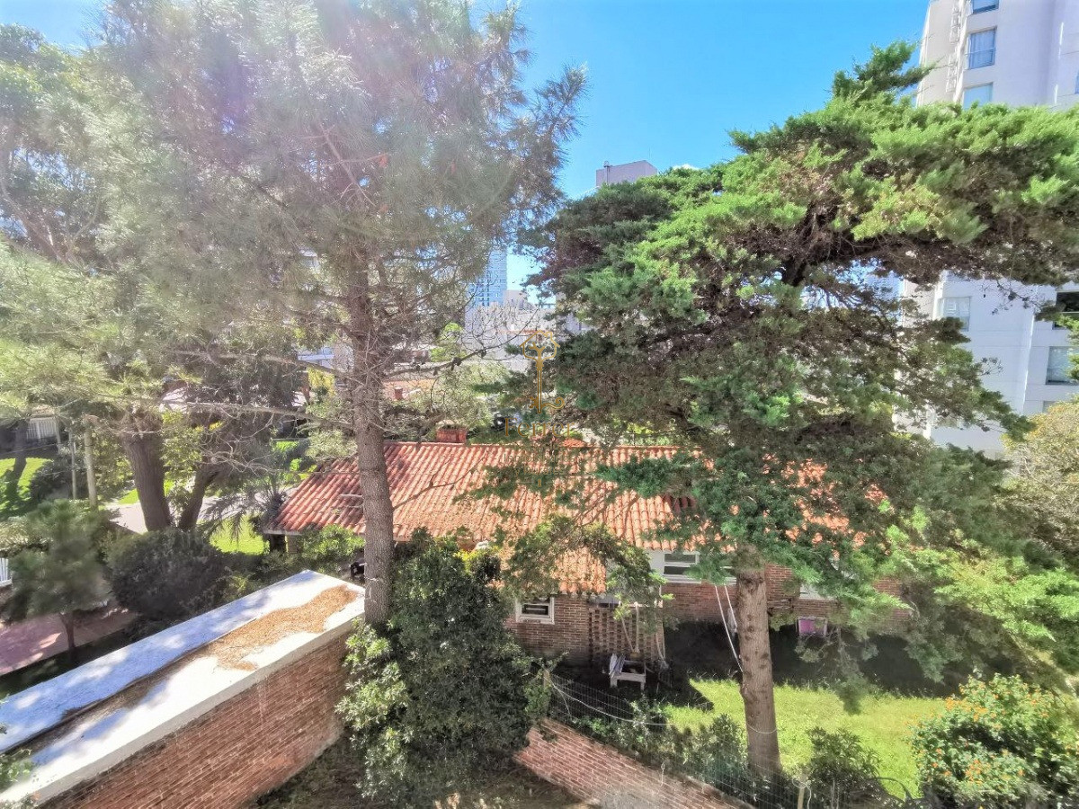 Apartamento ID.498 - Apartamento en alquiler enero febrero de dos dormitorios en brava Punta del Este 