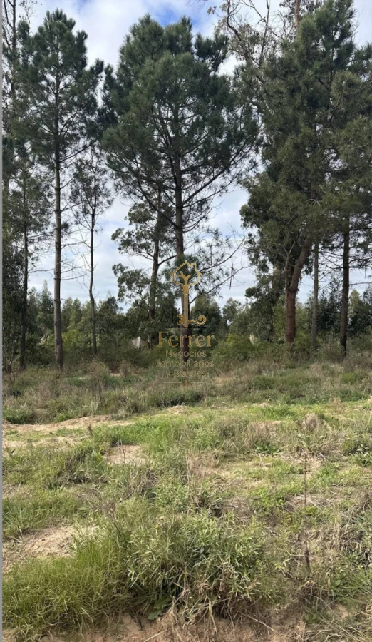 Terreno ID.933 - Terreno en Maldonado, 