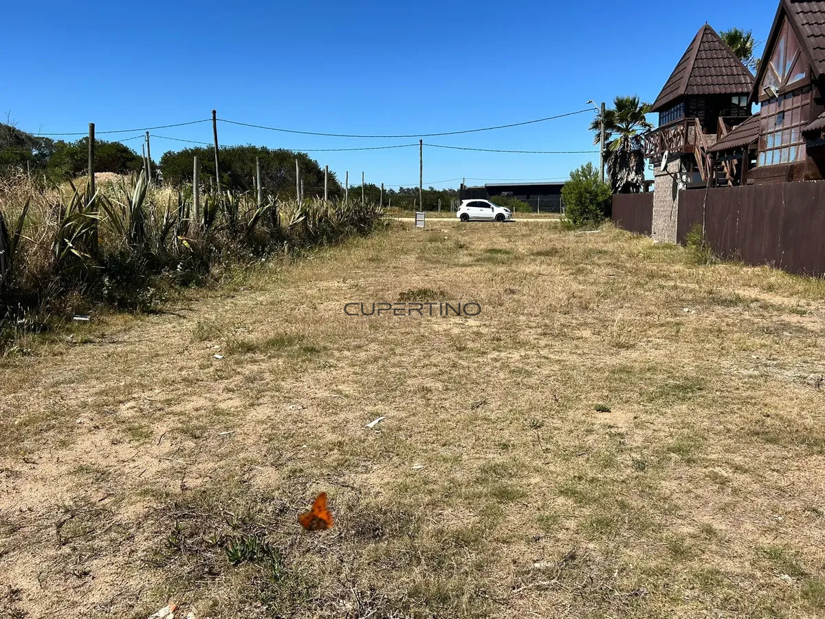 Terreno en Jose Ignacio, Santa Monica — foto 2
