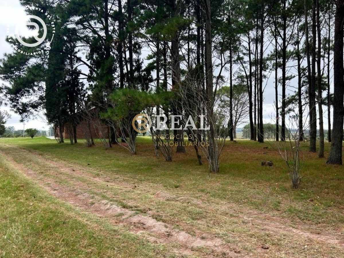 Chacra ID.1100 - Chacra a 3 km de Camino los Ceibos Maldonado
