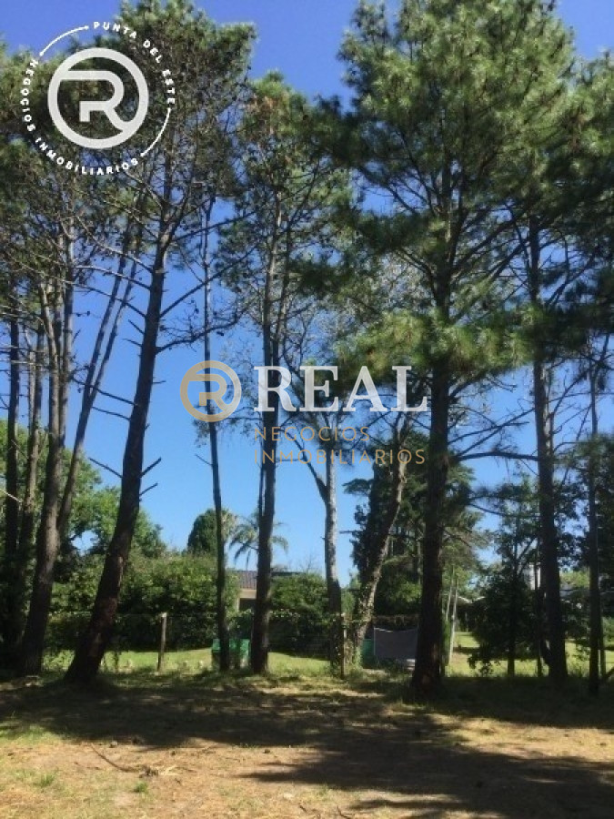Terreno ID.1095 - Terreno en venta de gran superficie barrio El  Golf, Punta del Este