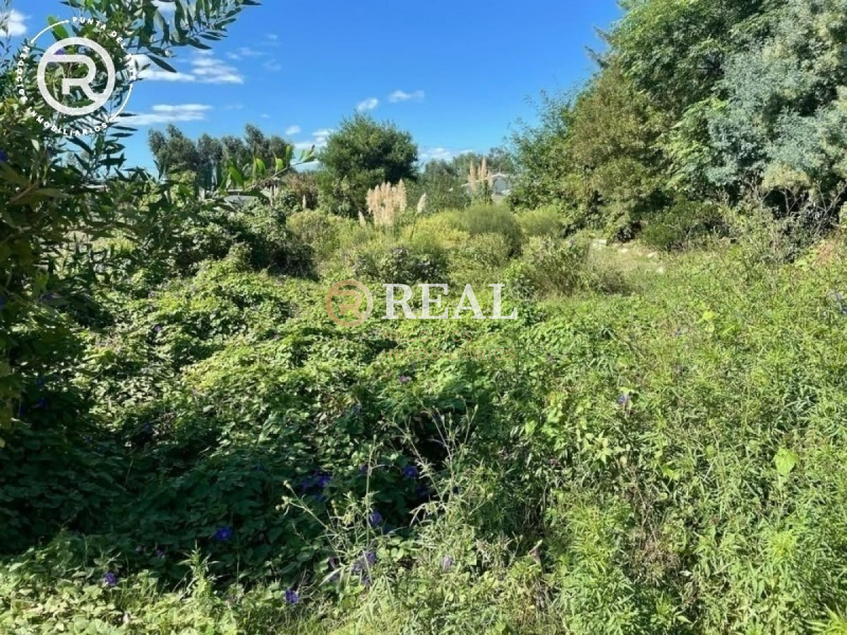 Terreno ID.1108 - Terreno de 450 m2 en venta Balneario Buenos Aires