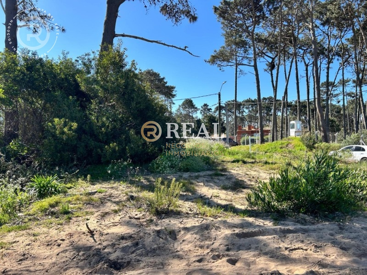 Terreno ID.1117 - Se venden Terreno en Montoya