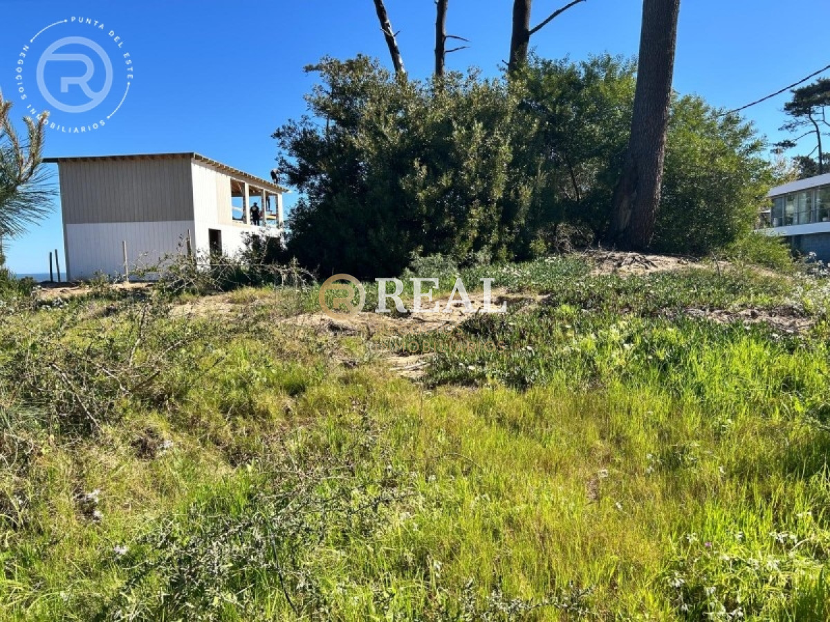 Terreno ID.1117 - Se venden Terreno en Montoya