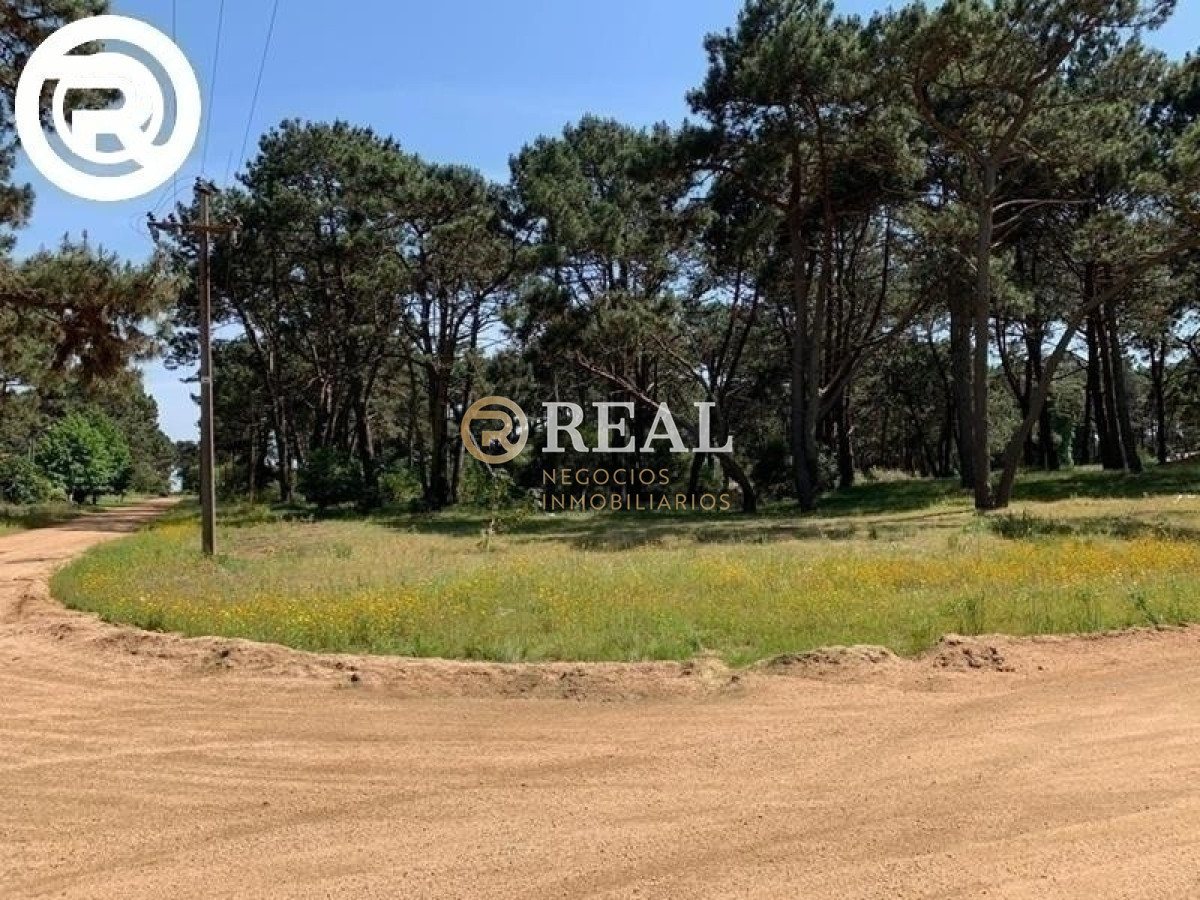 Terreno ID.465 - Terreno, Rincon del Indio, Venta.