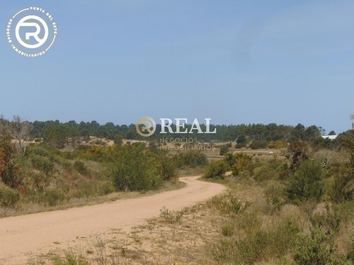 Terreno ID.609 - Terreno en venta en zona Arenas de José Ignacio