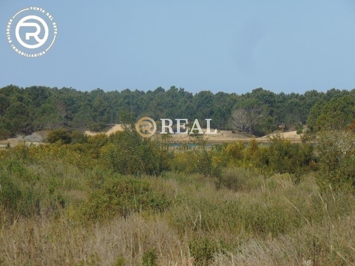 Terreno ID.609 - Terreno en venta en zona Arenas de José Ignacio