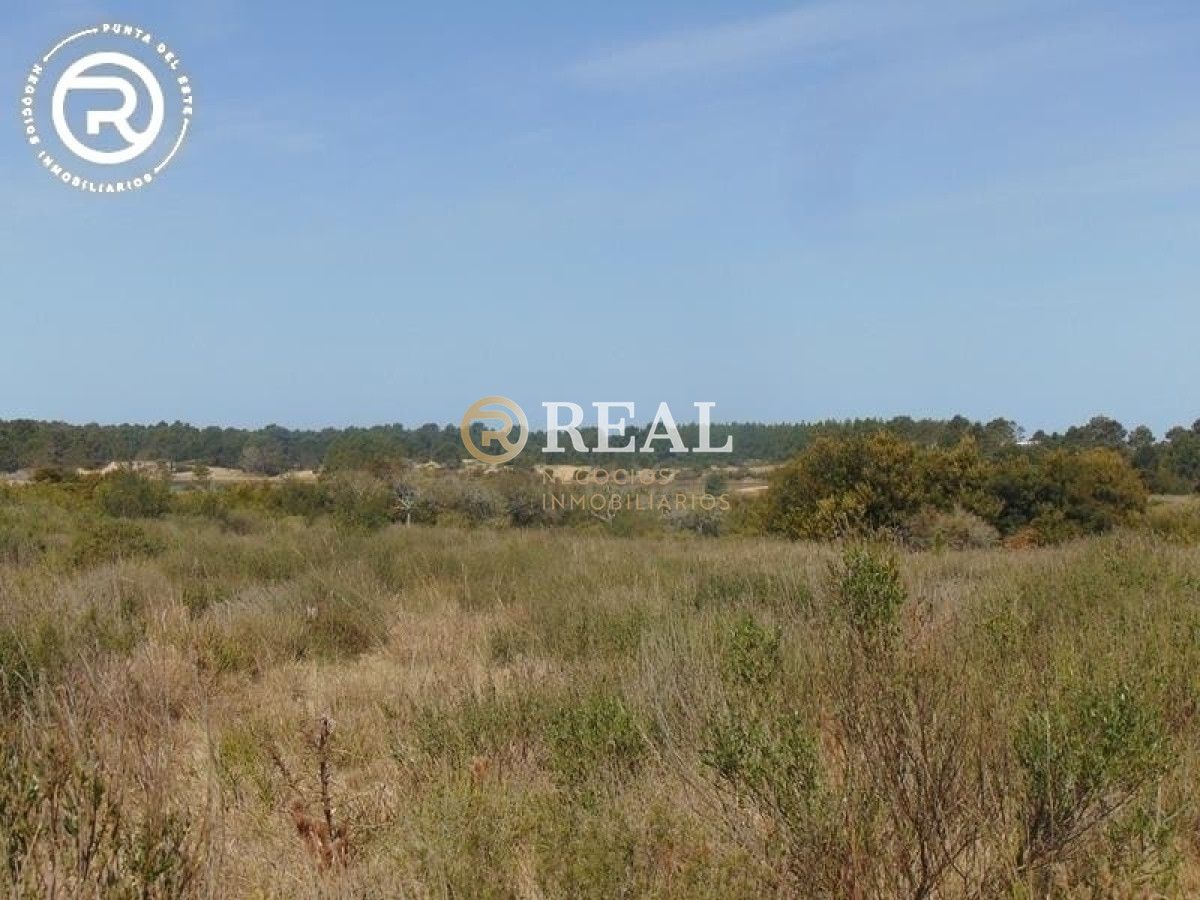 Terreno ID.609 - Terreno en venta en zona Arenas de José Ignacio