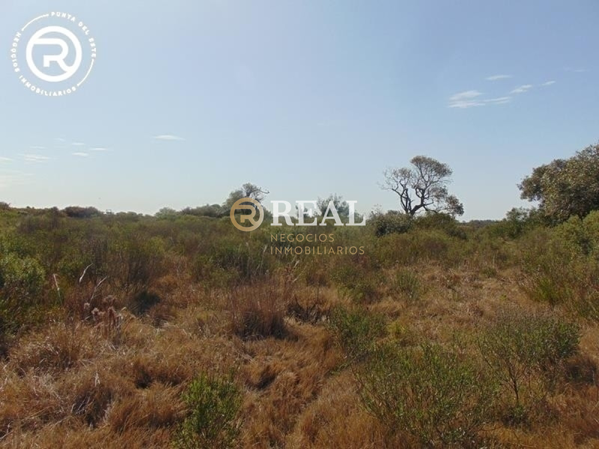 Terreno ID.609 - Terreno en venta en zona Arenas de José Ignacio