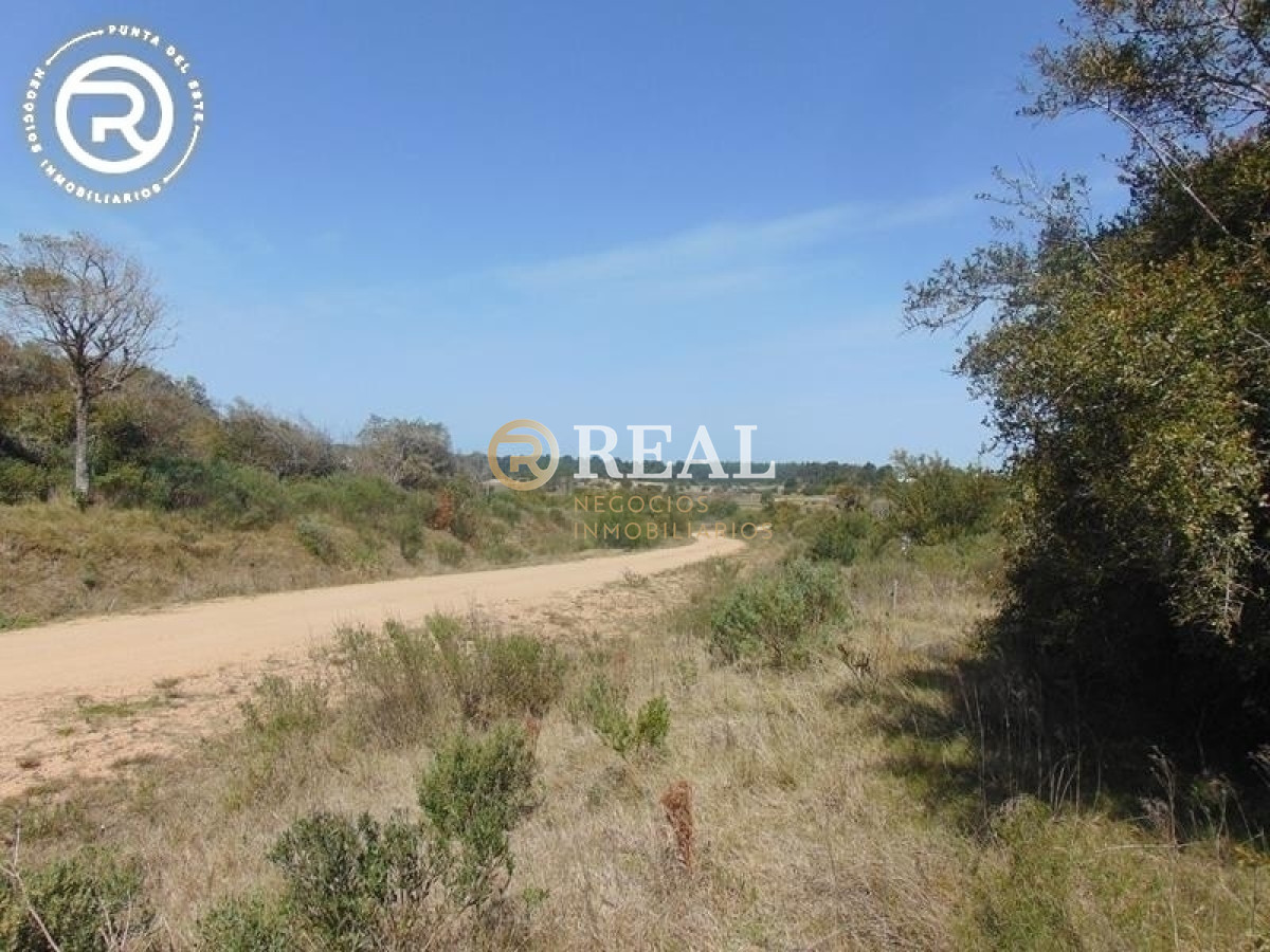 Terreno ID.609 - Terreno en venta en zona Arenas de José Ignacio