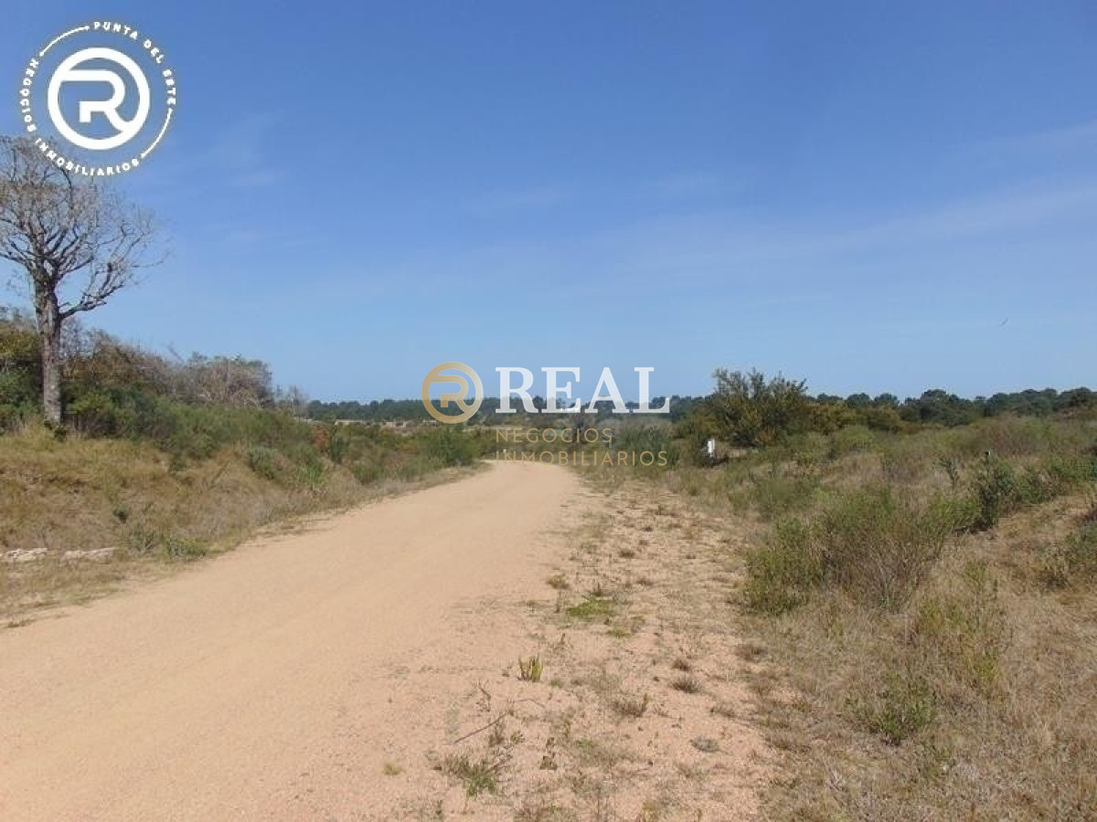 Terreno ID.609 - Terreno en venta en zona Arenas de José Ignacio