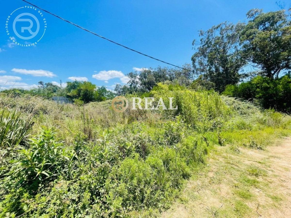 Terreno ID.796 - Terreno en venta en El Chorro