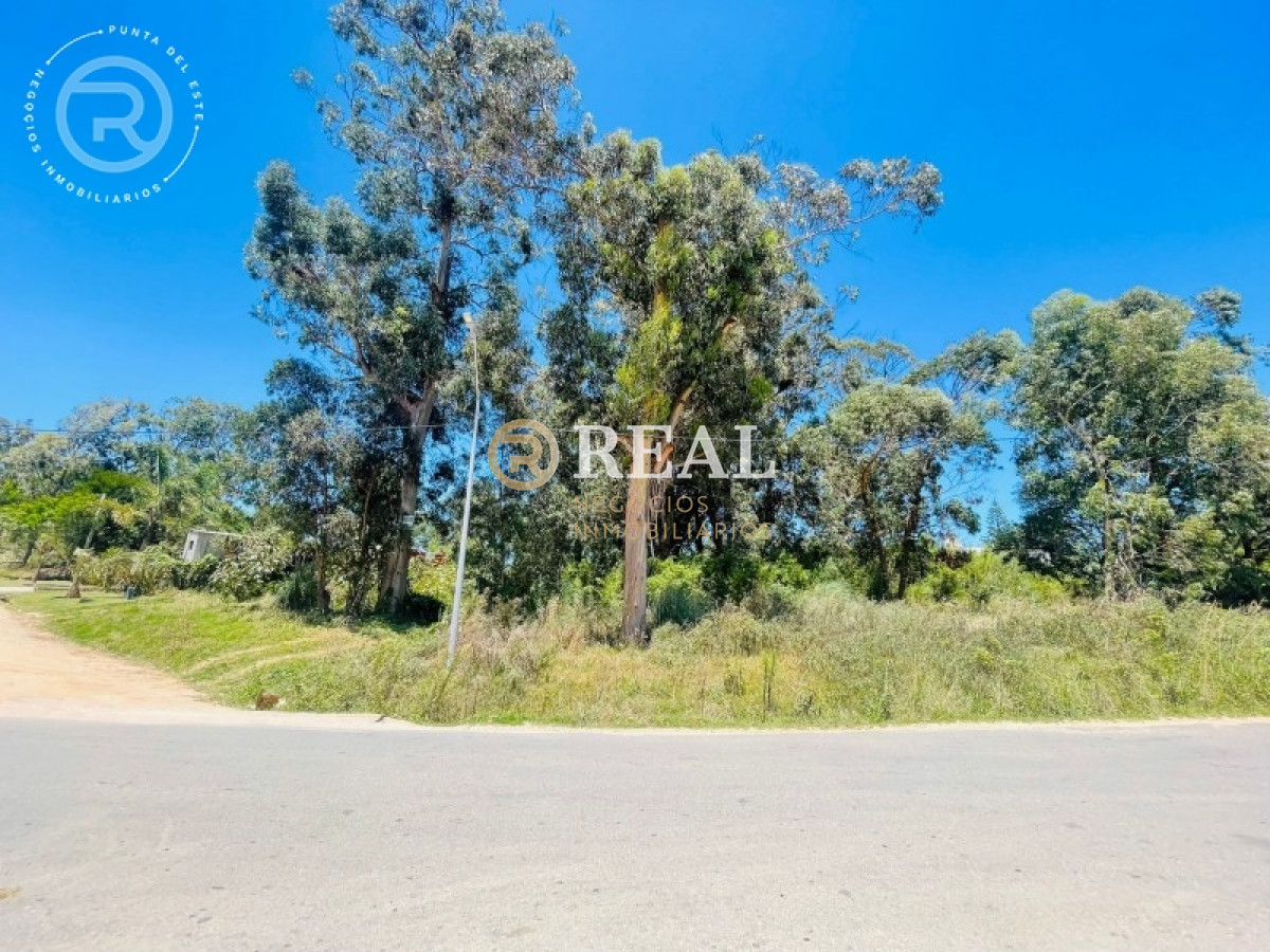 Terreno ID.796 - Terreno en venta en El Chorro