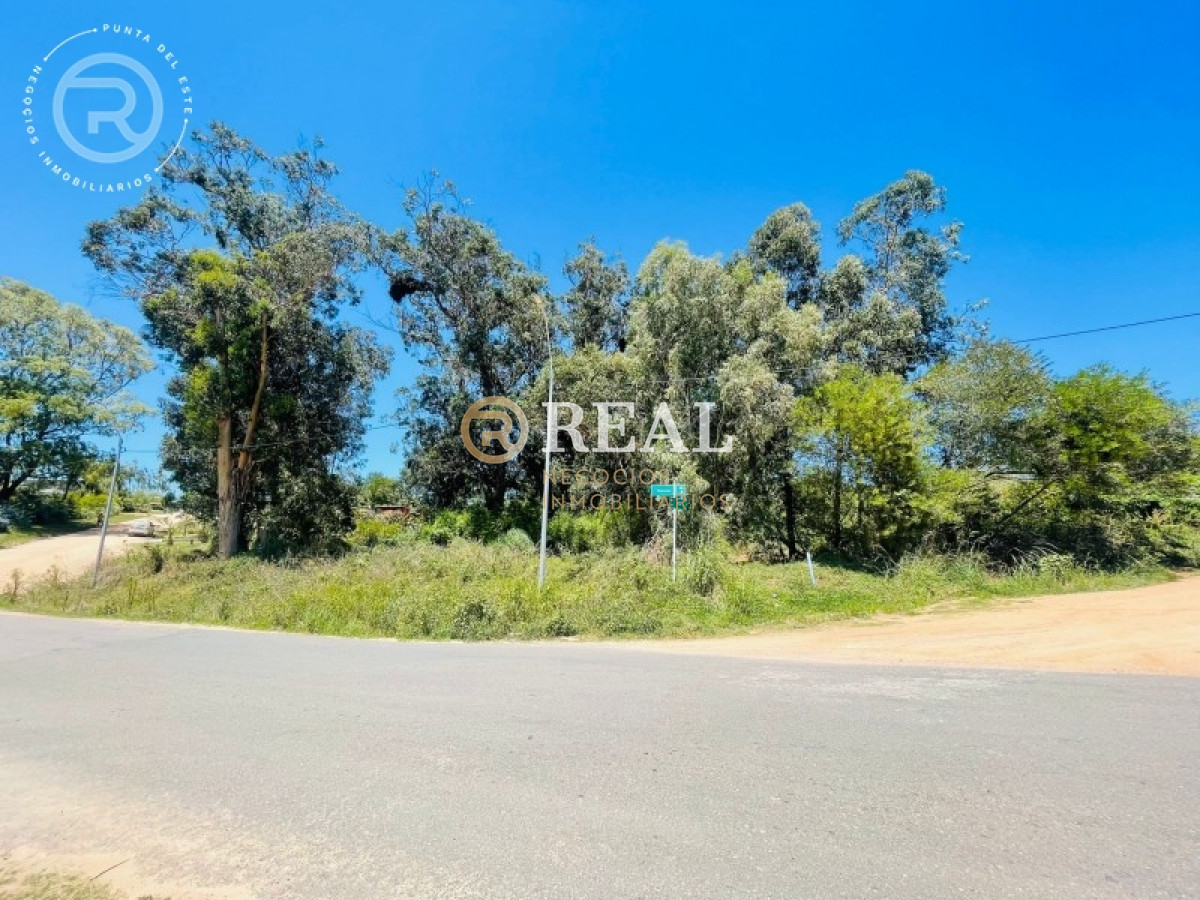 Terreno ID.796 - Terreno en venta en El Chorro