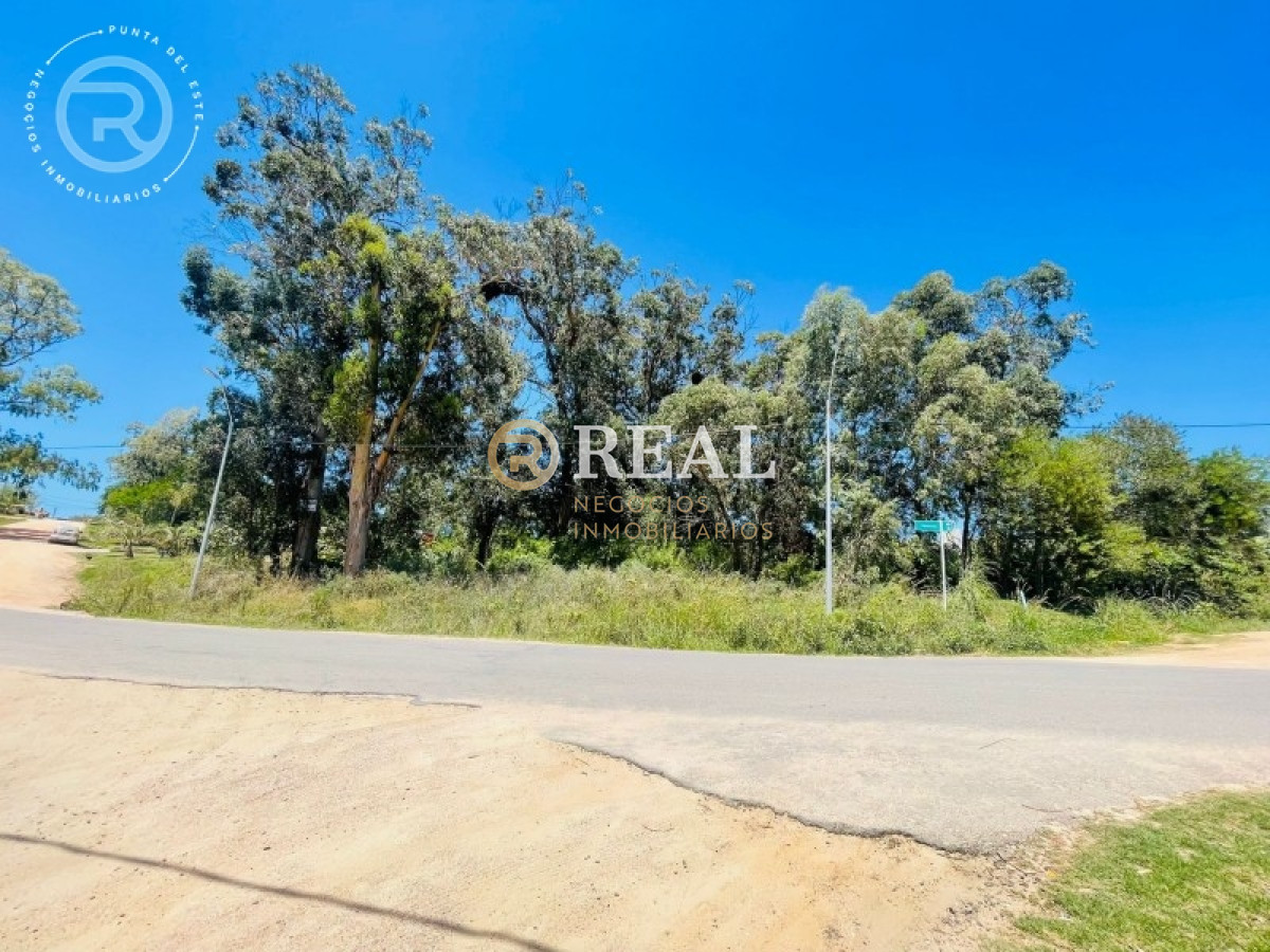 Terreno ID.796 - Terreno en venta en El Chorro