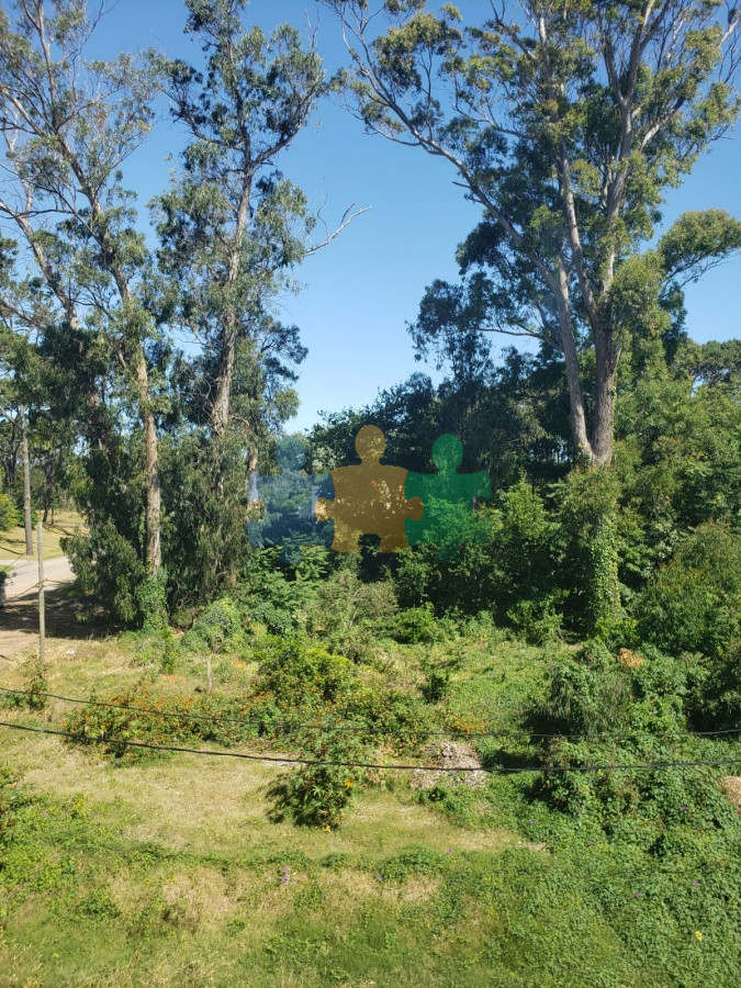 Propiedad - GoPunta - Portal Inmobiliario de Punta del Este - Maldonado