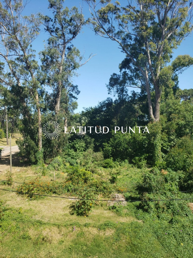 Propiedad - GoPunta - Portal Inmobiliario de Punta del Este - Maldonado