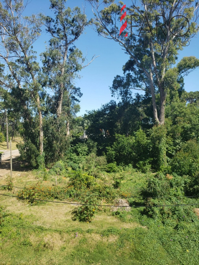 San Rafael - GoPunta - Portal Inmobiliario de Punta del Este - Maldonado