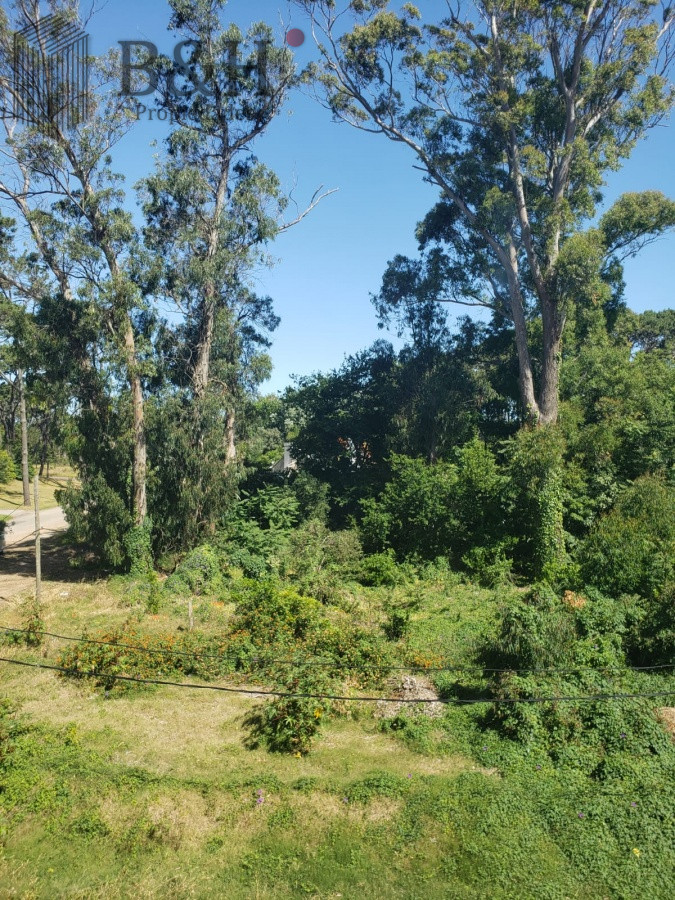 San Rafael - GoPunta - Portal Inmobiliario de Punta del Este - Maldonado