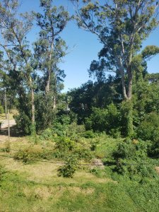 Apartamento ID.1257/Próximo-al-mar.- - Próximo al mar. 