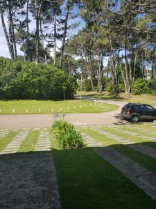 Apartamento ID.1257/Próximo-al-mar.- - Próximo al mar. 