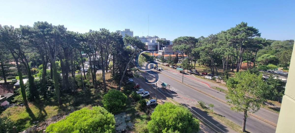 Apartamento ID.299655 - Apartamento en Punta del Este, Roosevelt