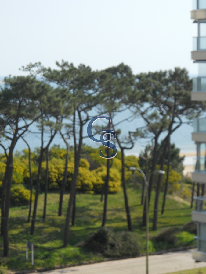 Apartamento ID.292993 - En venta y alquiler, a 100 ms de mar, playa mansa.