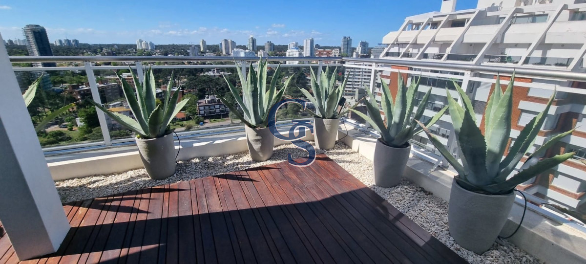 Apartamento ID.299593 - pent house