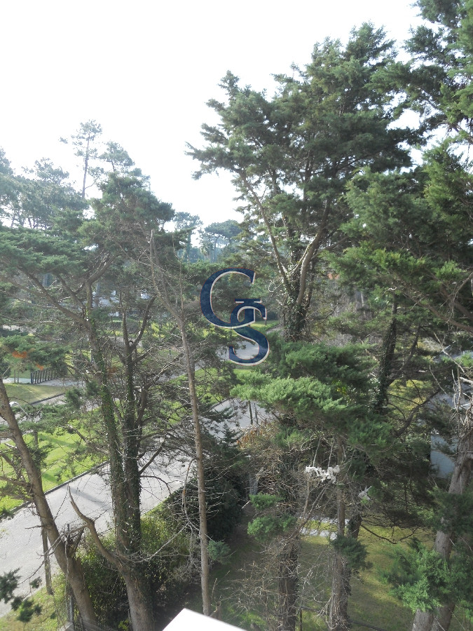 Apartamento ID.297373 - En venta y alquiler!