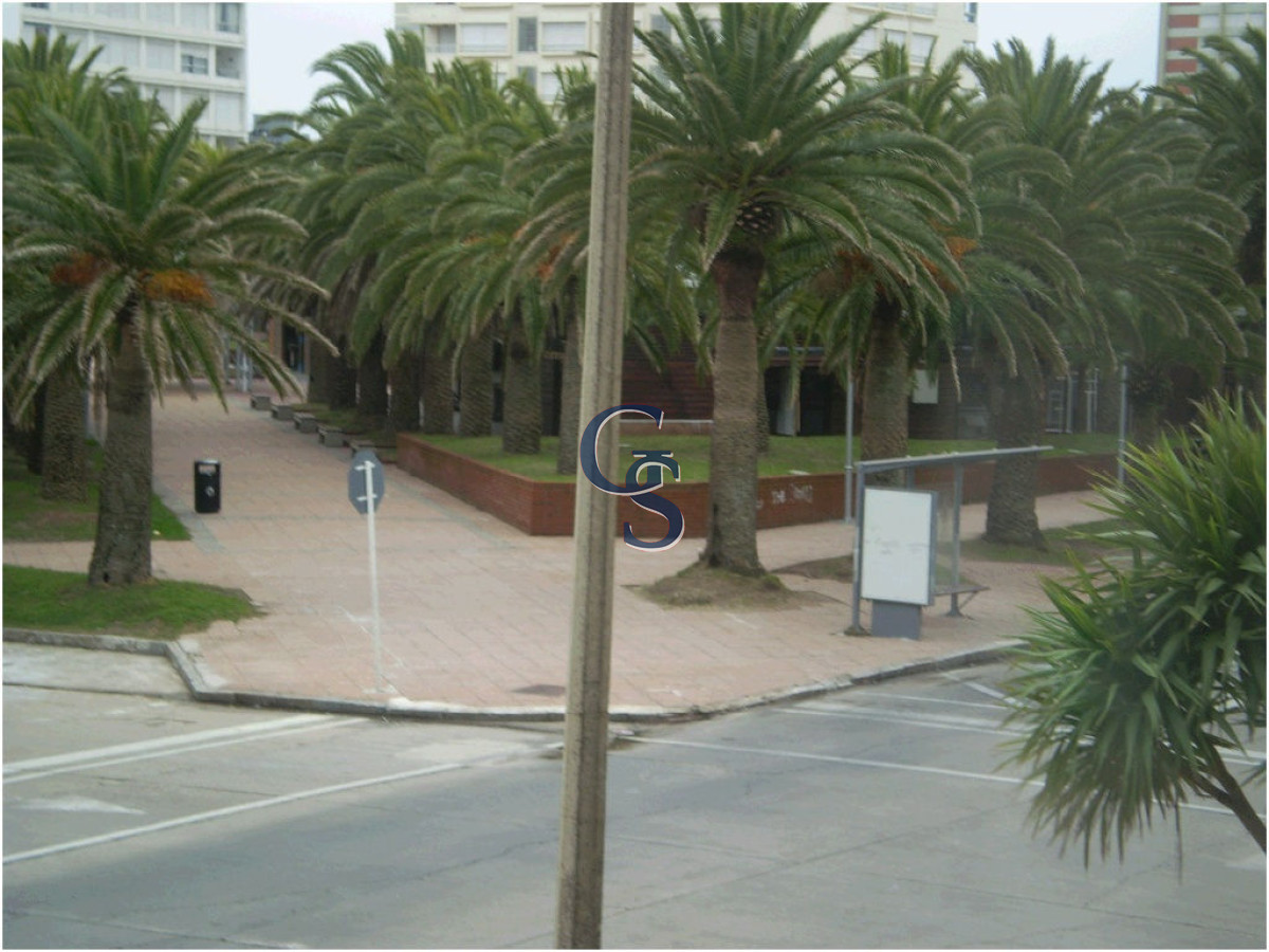 Apartamento ID.290802 - A pasos de Plaza de los Artesanos.