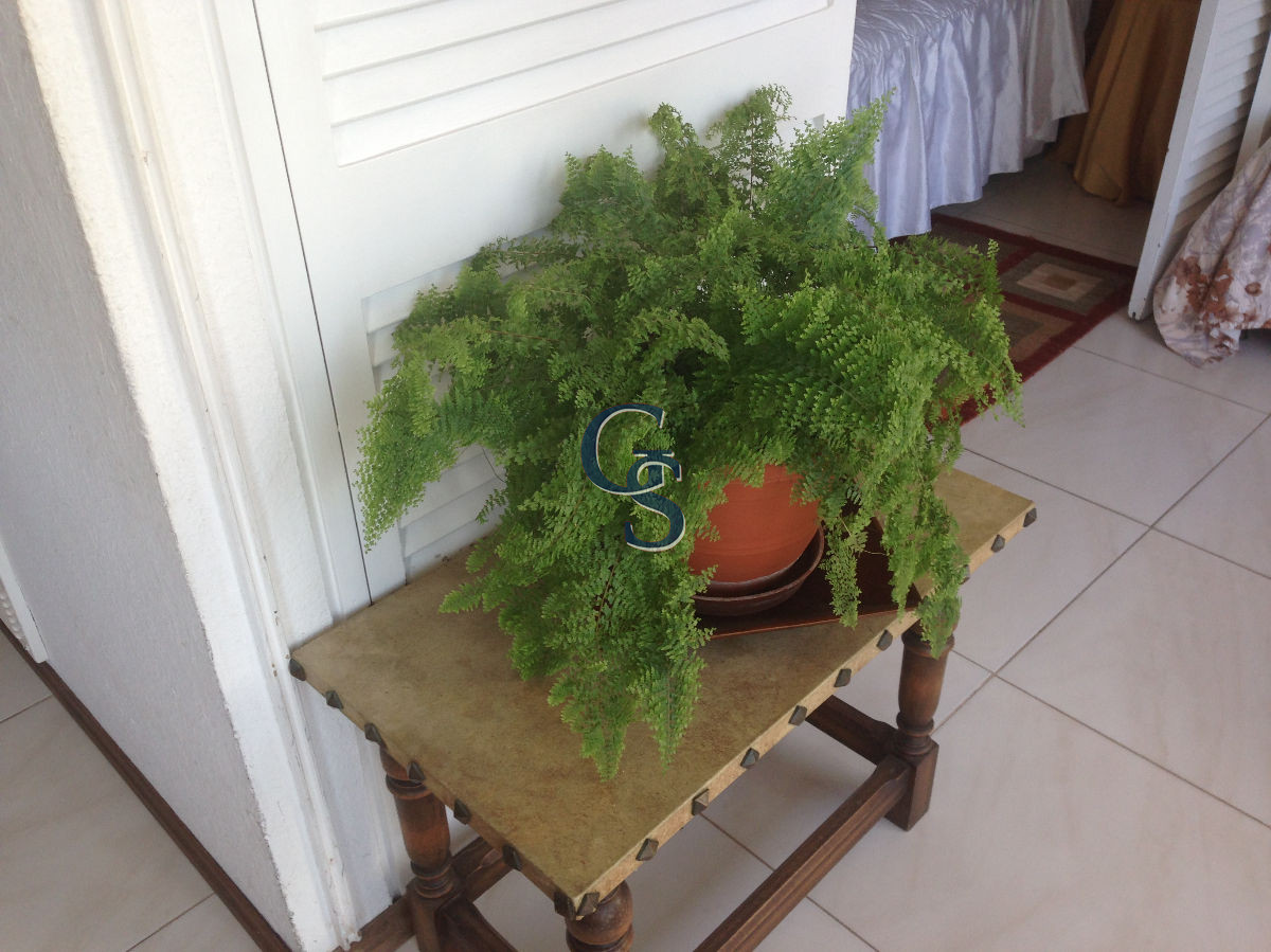 Apartamento ID.451 -  Dpto en Peninsula  