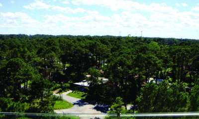 Ubicado a pasos de la zona de mayor auge de Punta del Este
