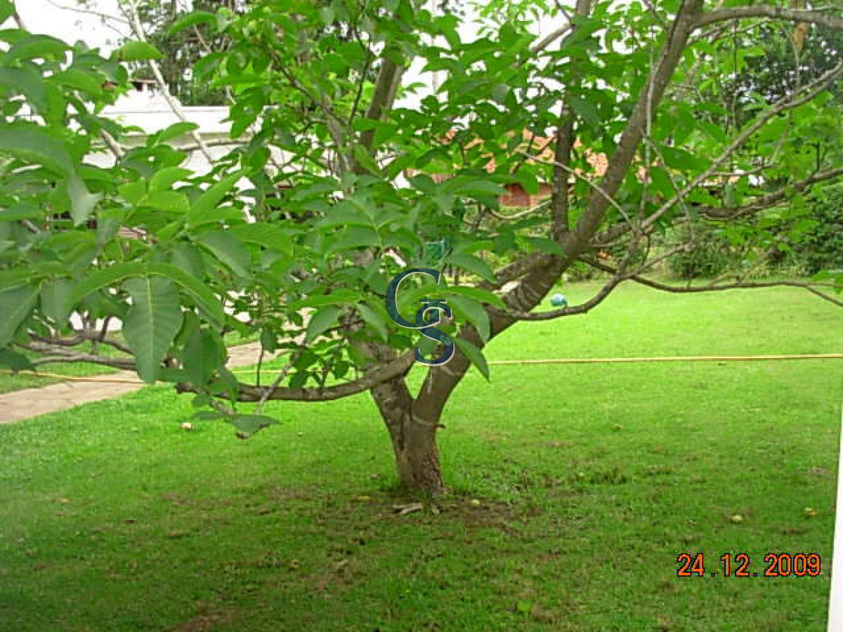 Casa ID.293966 - Casa en Punta del Este, Pinares