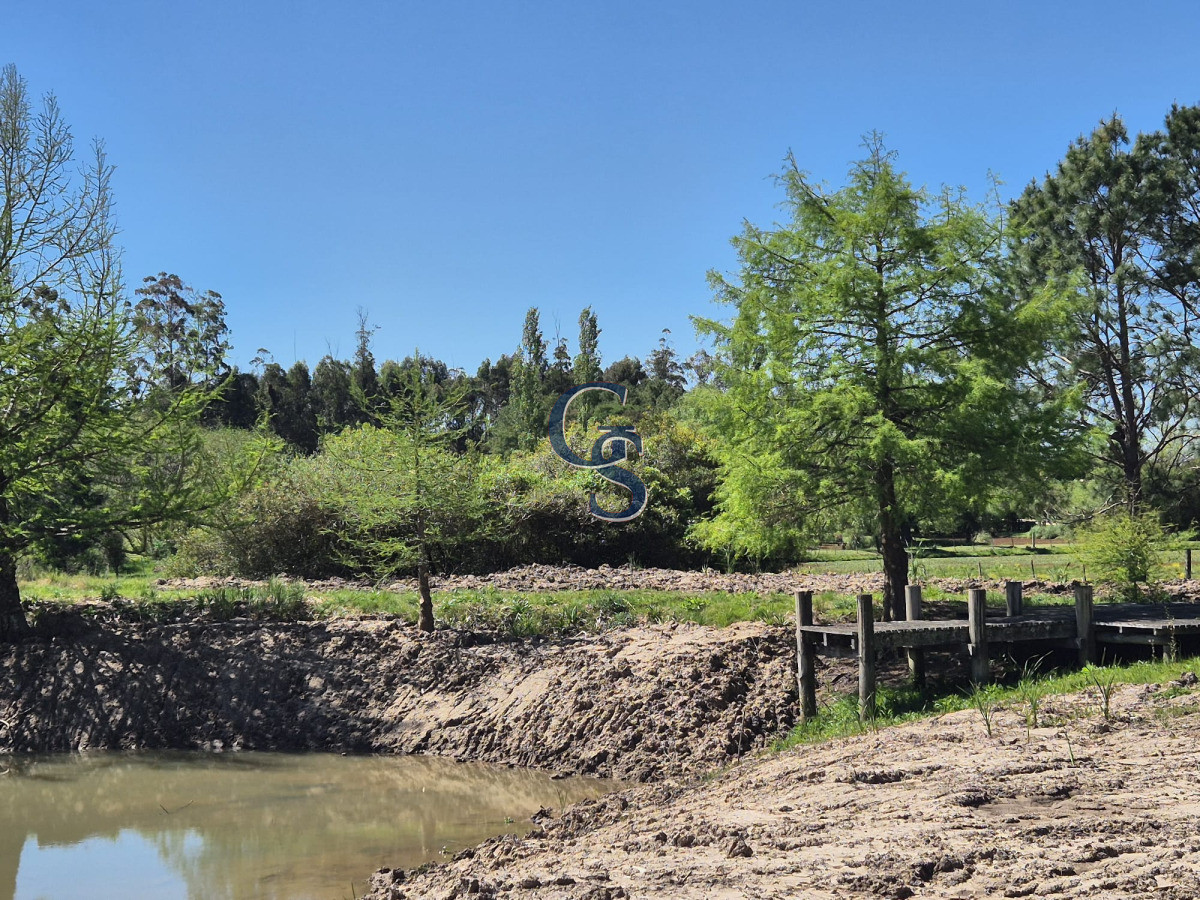 Chacra ID.296299 - Chacra con casa 
