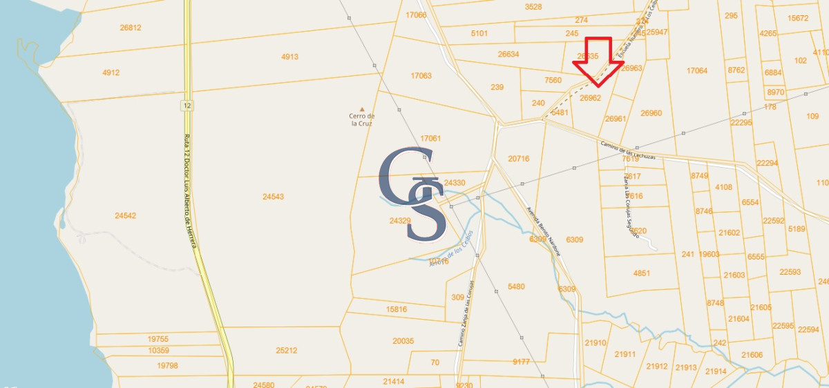 Chacra ID.296364 - chacra sin construccion 