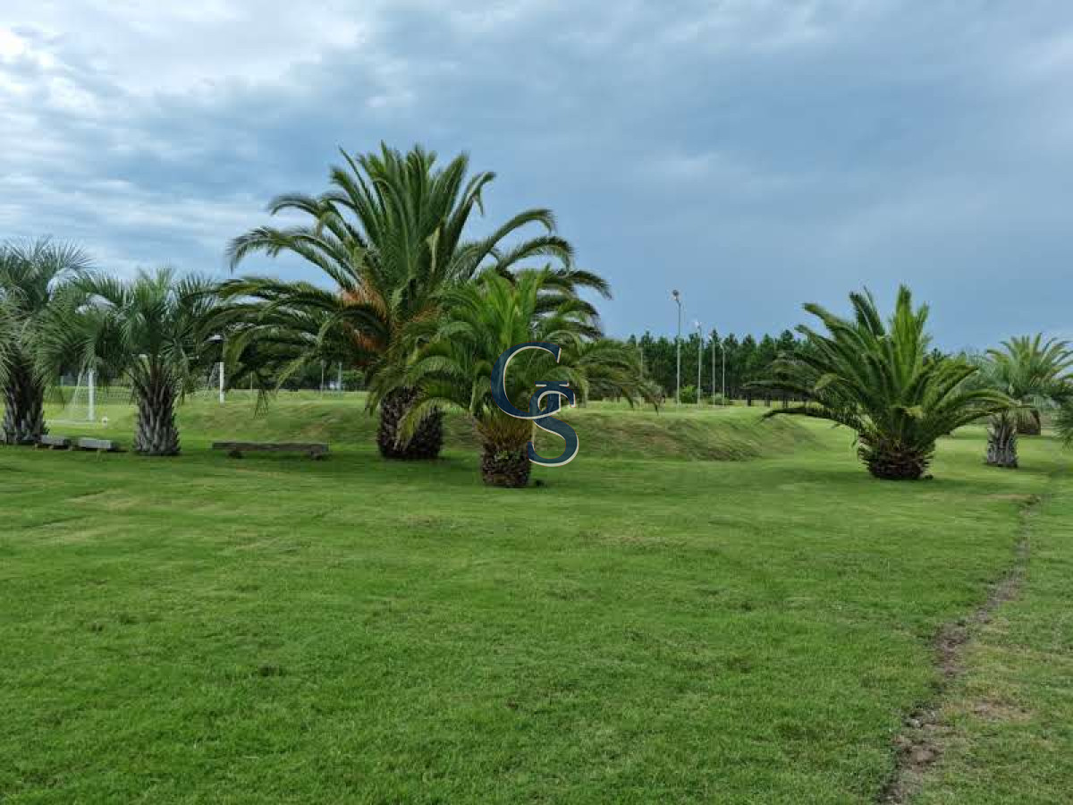 Chacra ID.299064 - Espectacular chacra en Arenas de Jose Ignacio