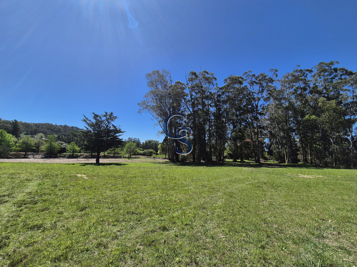 Chacra ID.296299 - Chacra con casa 