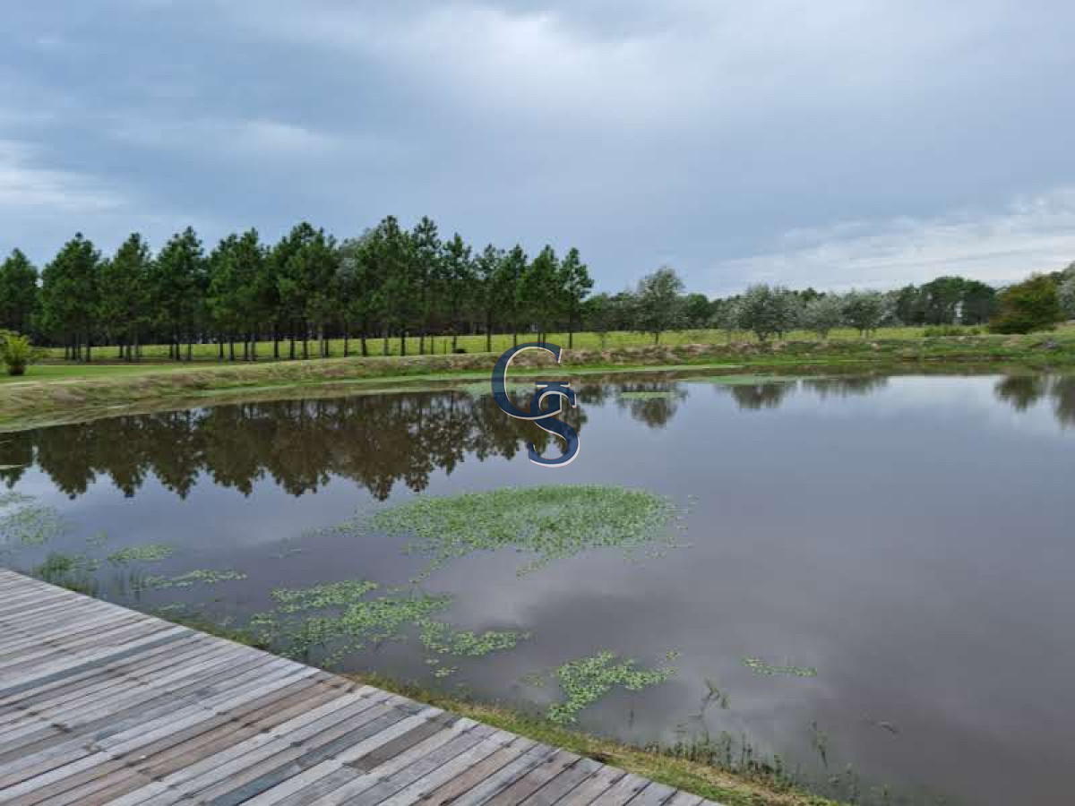 Chacra ID.299064 - Espectacular chacra en Arenas de Jose Ignacio