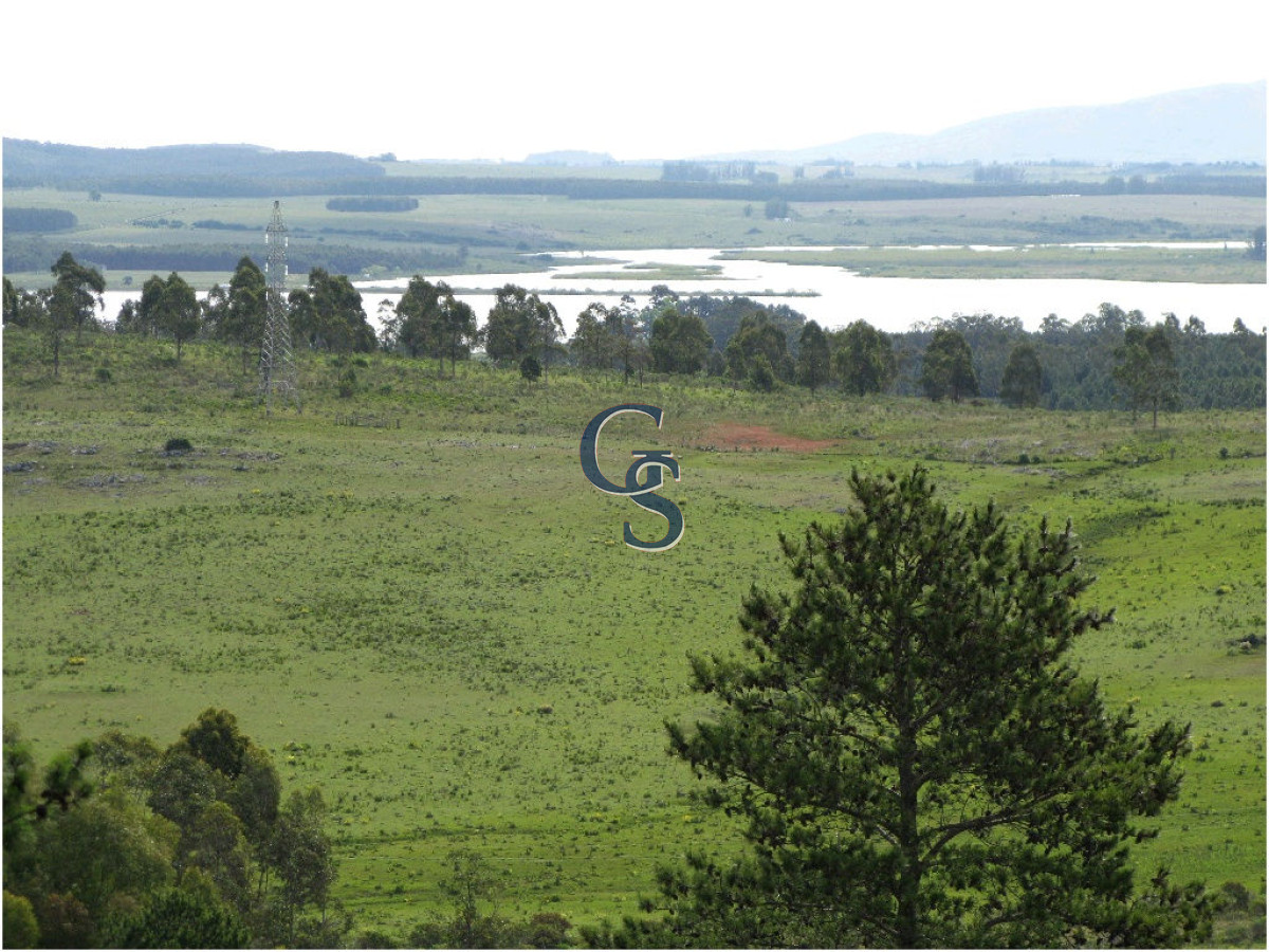 Chacra ID.296364 - chacra sin construccion 