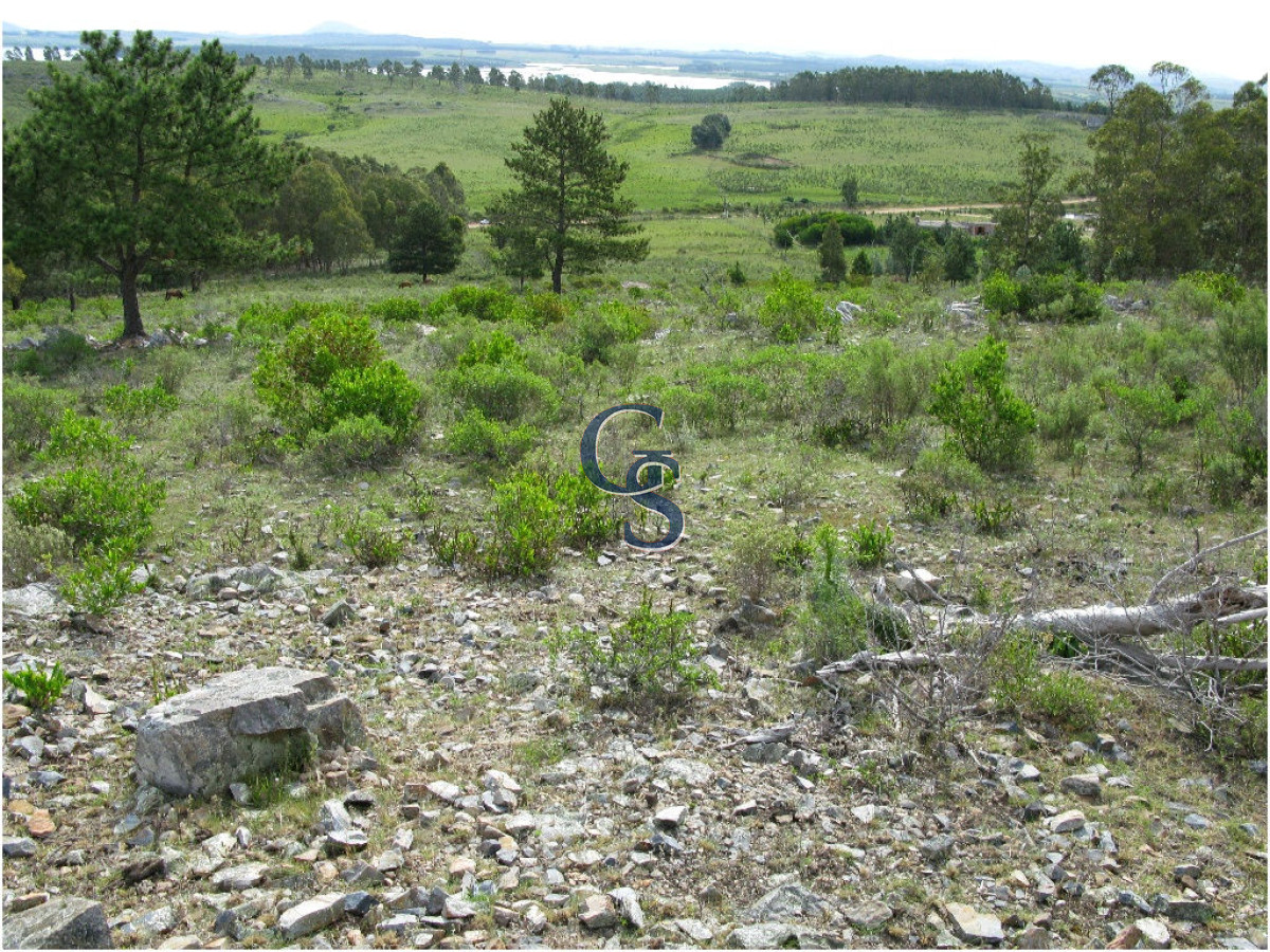 Chacra ID.296364 - chacra sin construccion 
