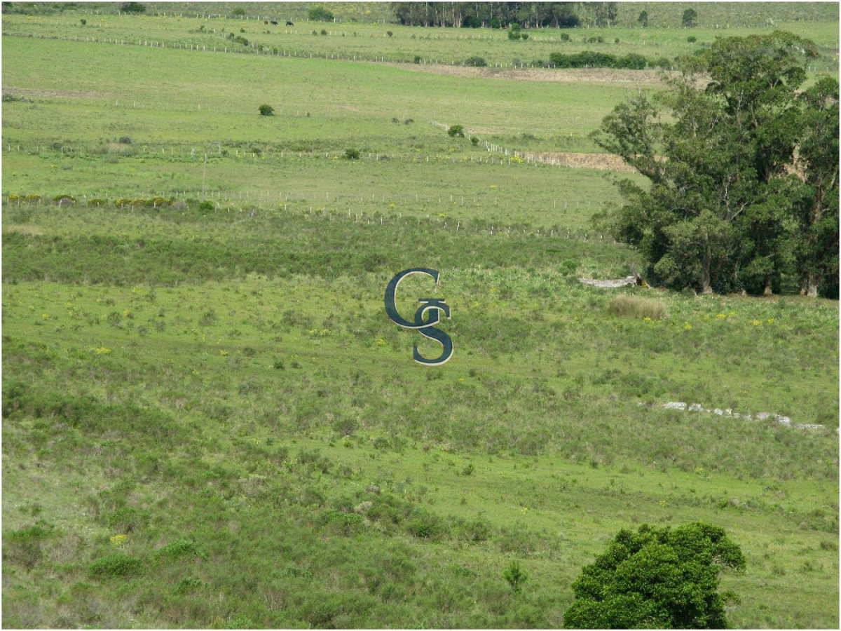 Chacra ID.296364 - chacra sin construccion 