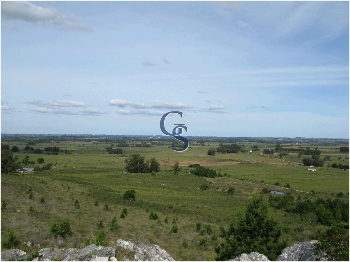 Chacra ID.296364 - chacra sin construccion 