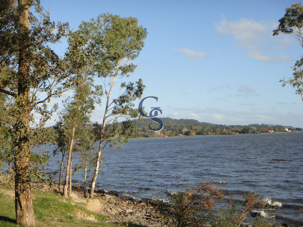 Chacra ID.296443 - chacra de 7 hectareas