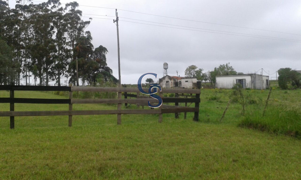 Chacra ID.296462 - Proximo a Ruta 12