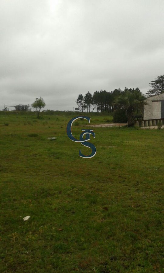 Chacra ID.296462 - Proximo a Ruta 12