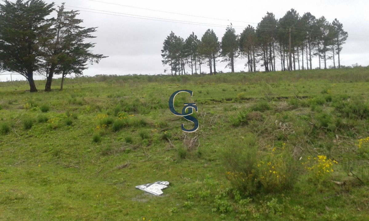 Chacra ID.296462 - Proximo a Ruta 12
