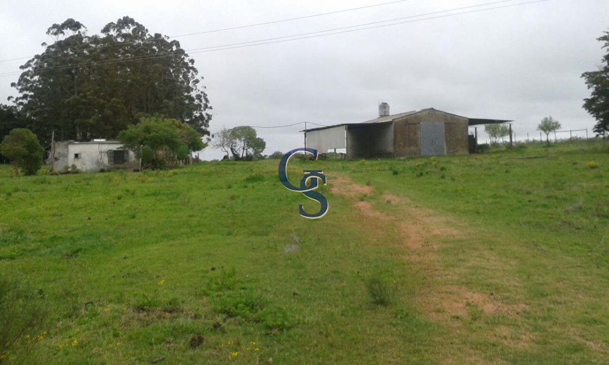Chacra ID.296462 - Proximo a Ruta 12