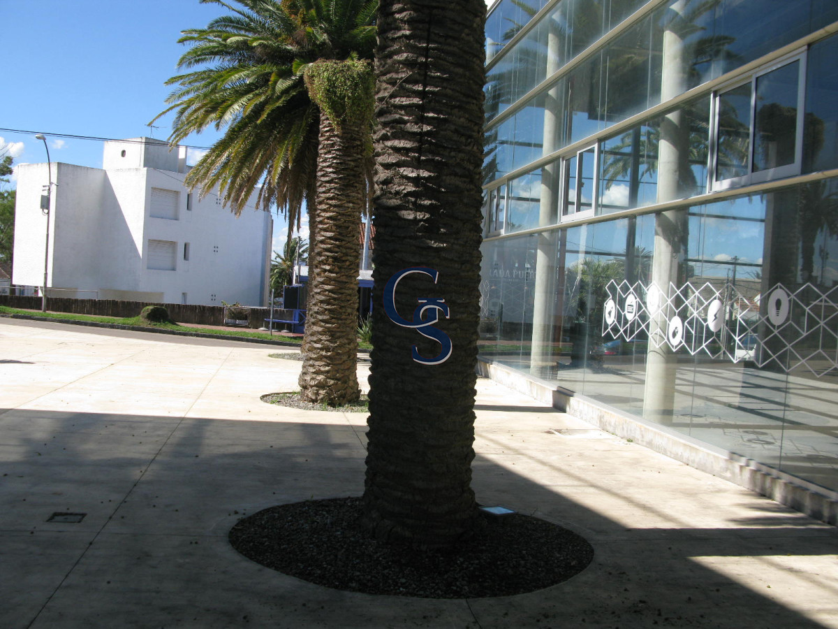 Local Comercial ID.296719 - en la tracional calle de las palmeras