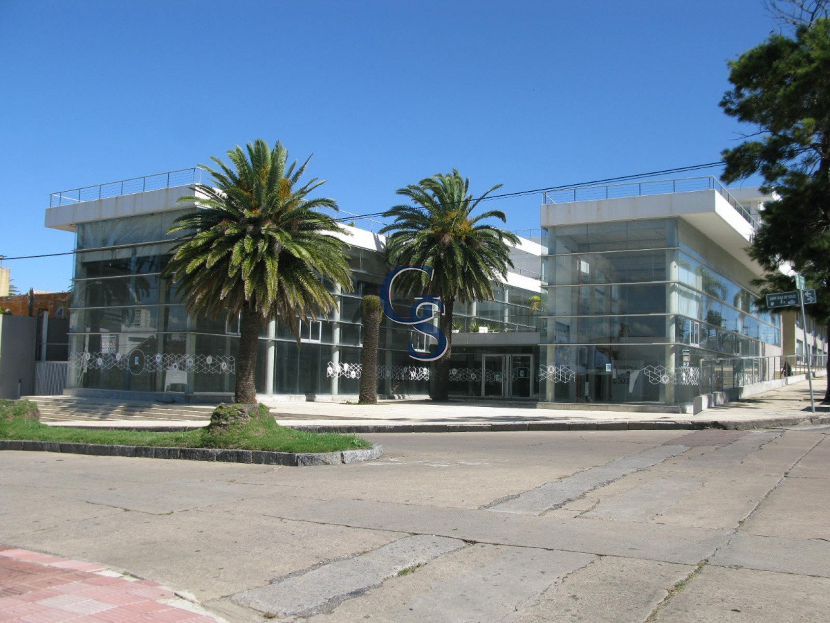 Local Comercial ID.296719 - en la tracional calle de las palmeras
