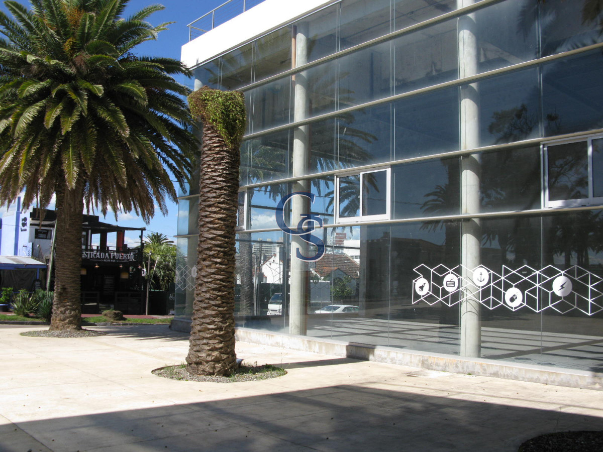 Local Comercial ID.296719 - en la tracional calle de las palmeras